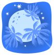 tropical night sky
