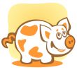 cartoon piggy