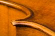 violoncello