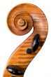 violoncello