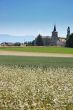 Country church