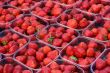 Fresh strawberries