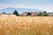 Rural countryside