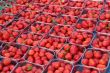 Fresh strawberries
