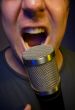 Vocalist & Microphone