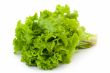 Lettuce