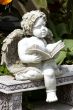 Reading angel