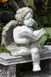 Reading angel