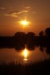 Years solar decline in area Okskogo of Reserve