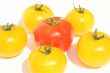 Red and yellow tomatoes