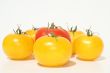 Red and yellow tomatoes