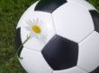 Soccer ball