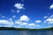 lakeside with tree line