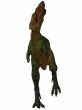 Aucasaurus-3D Dinosaur