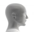 Human head of grey color