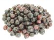 Forestry blueberries