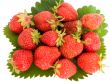 strawberry on leaves