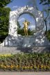 Johann Strauss monument in Vienna