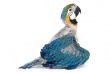 baby macaw in rest