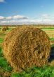 Intorted roll of hay