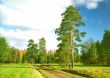 Way to the autumn park