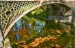 Fallen leaves in water under arc of bridge