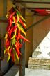 Shiny chili pepper
