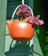 Houseplant in red teapot