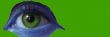 eye macro