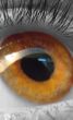 eye macro