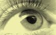 eye macro