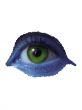 eye macro