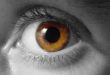 eye macro