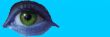 eye macro