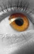 eye macro