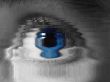 eye macro