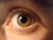 eye macro