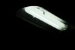 Fluorescent lamp