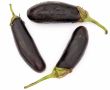 Three big eggplants