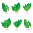 leaf icon