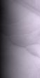 background grey leaf vain