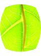 leaf macro lines