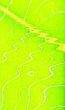 green wave lines