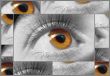 eye collage gray brown macro shots