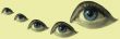 eye macro