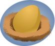 Nest egg
