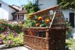 European summer flowers