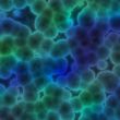 Bacterial cells