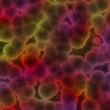Bacterial cells