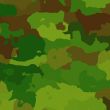 Camouflage pattern